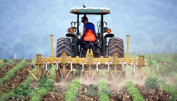 Pas de clause de long préavis dans un bail rural de 24 ans !