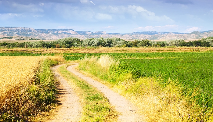 Obligation pour le maire de garantir la circulation sur un chemin rural 