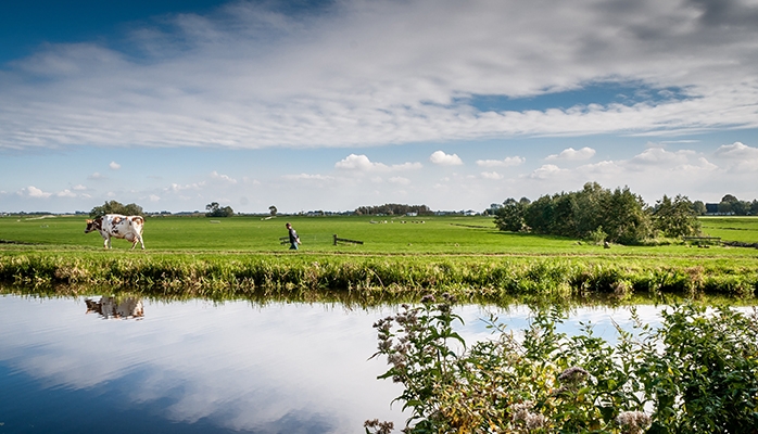 Sobriété en eau : une nouvelle étape franchie pour les industries agroalimentaire